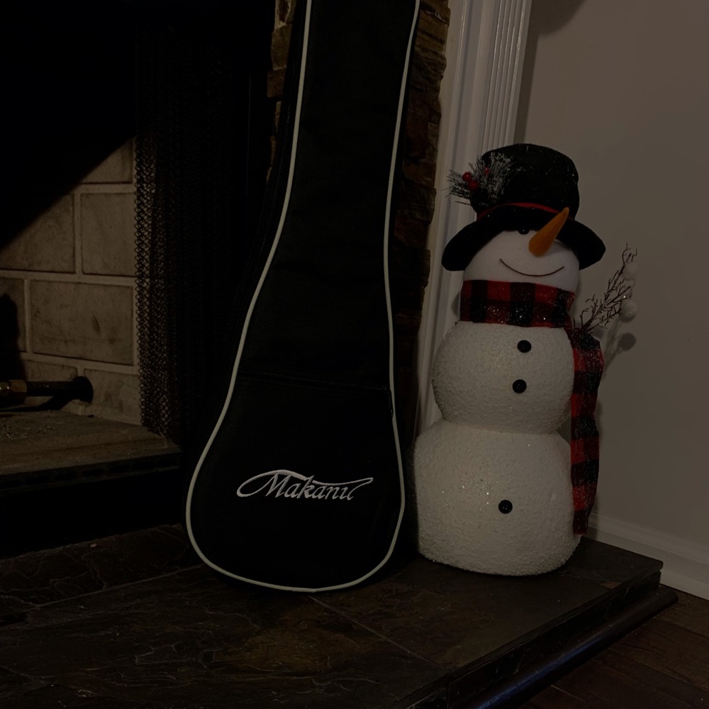 Ukulele Case / Bag